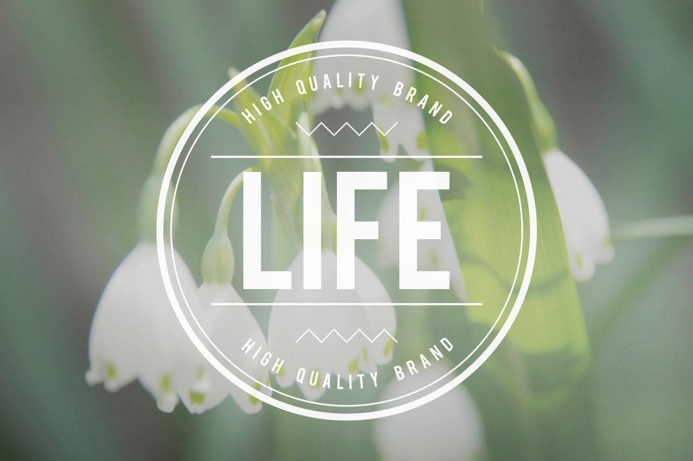 Is It Time to Refresh Your Logo?